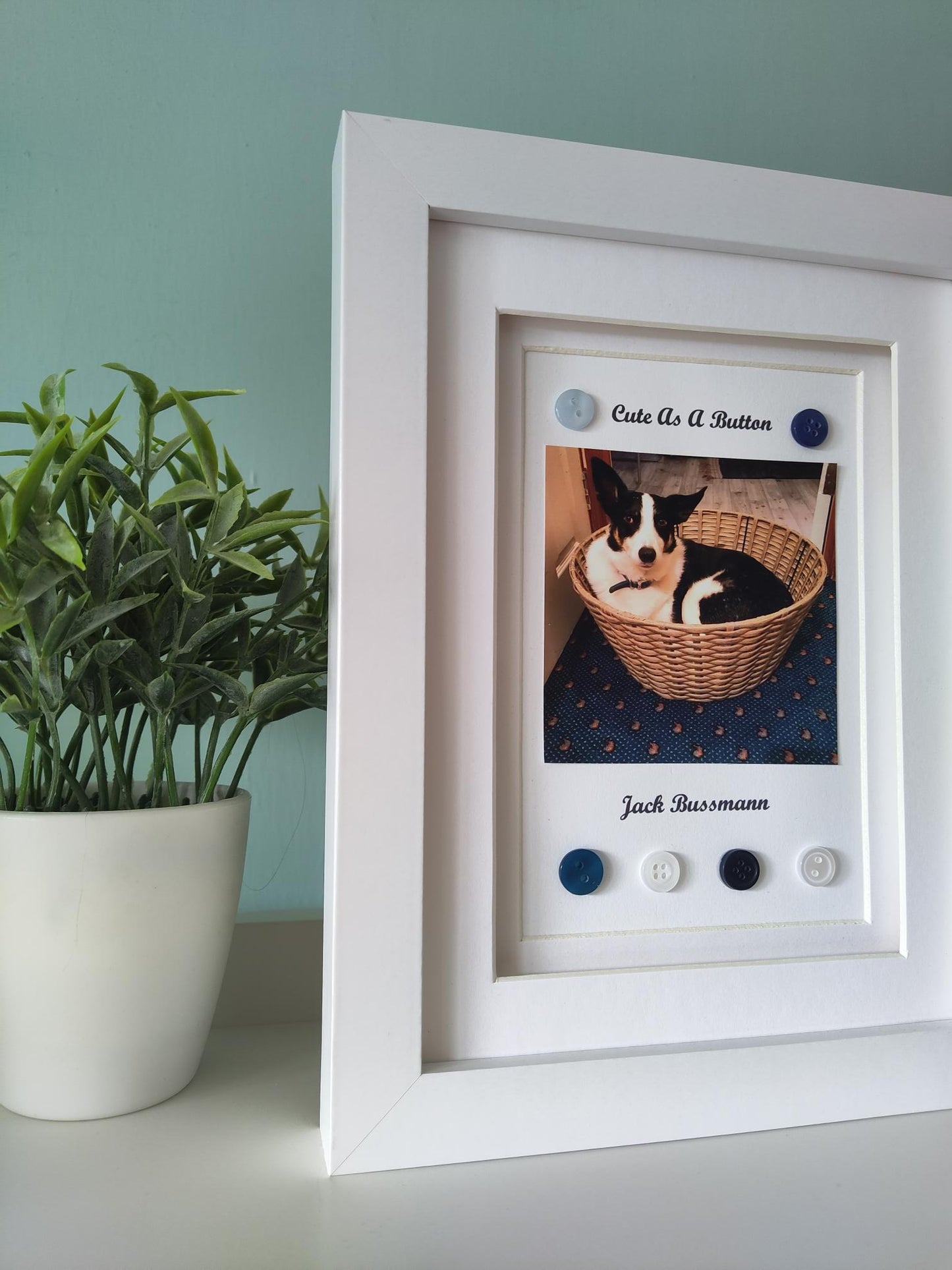 Cute As A Button Pet Portrait