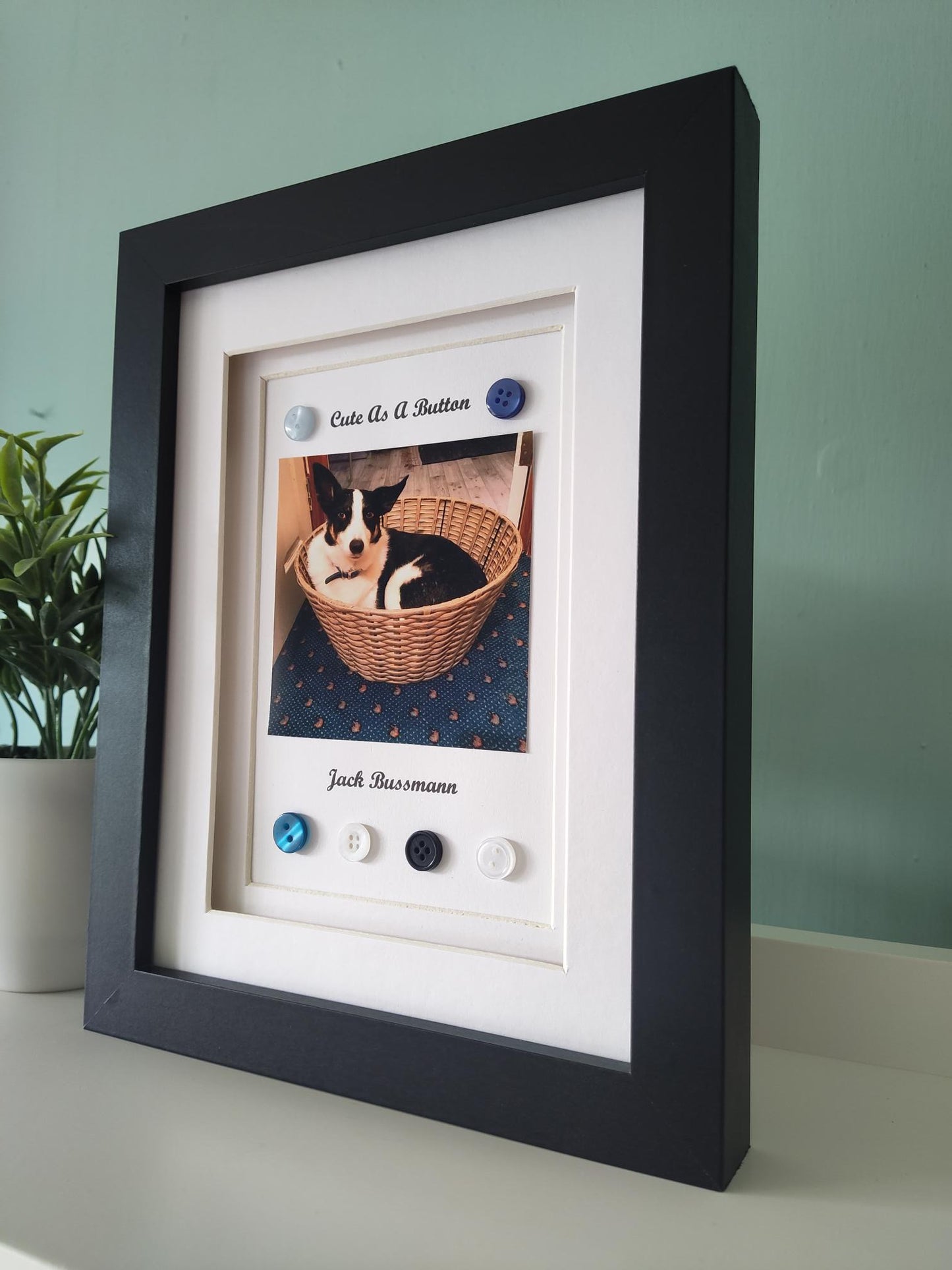 Cute As A Button Pet Portrait